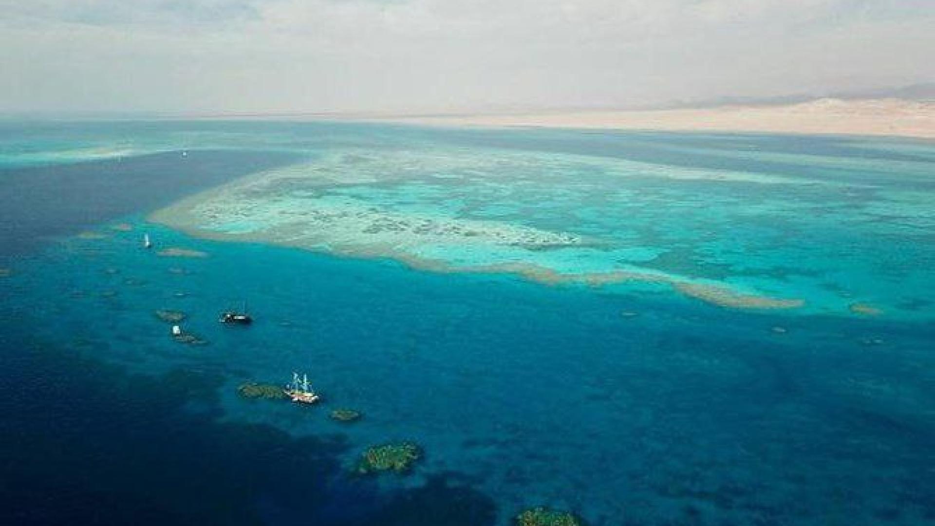 Le migliori barriere coralline in Egitto per snorkeling e immersioni