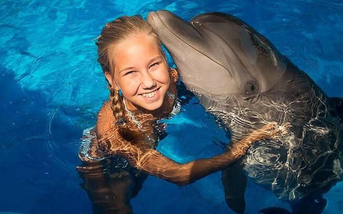 Nuotare con i delfini a Sharm El Sheikh