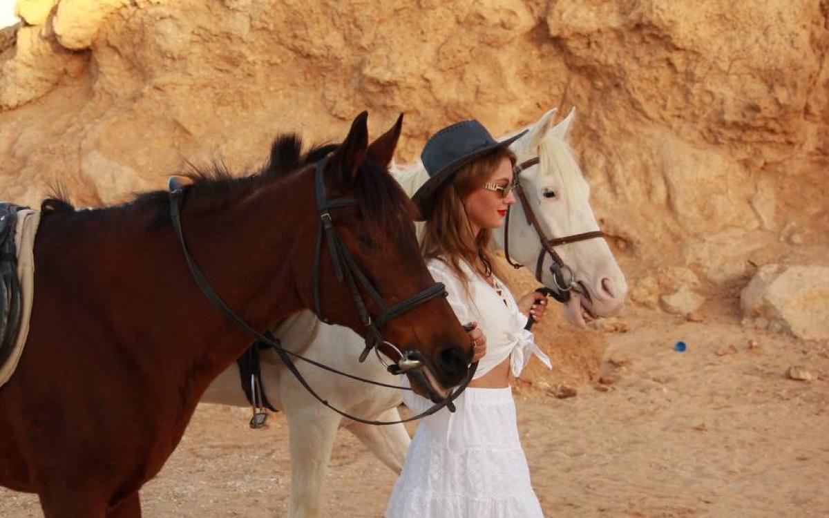Passeggiata a cavallo VIP a Sharm El Sheikh
