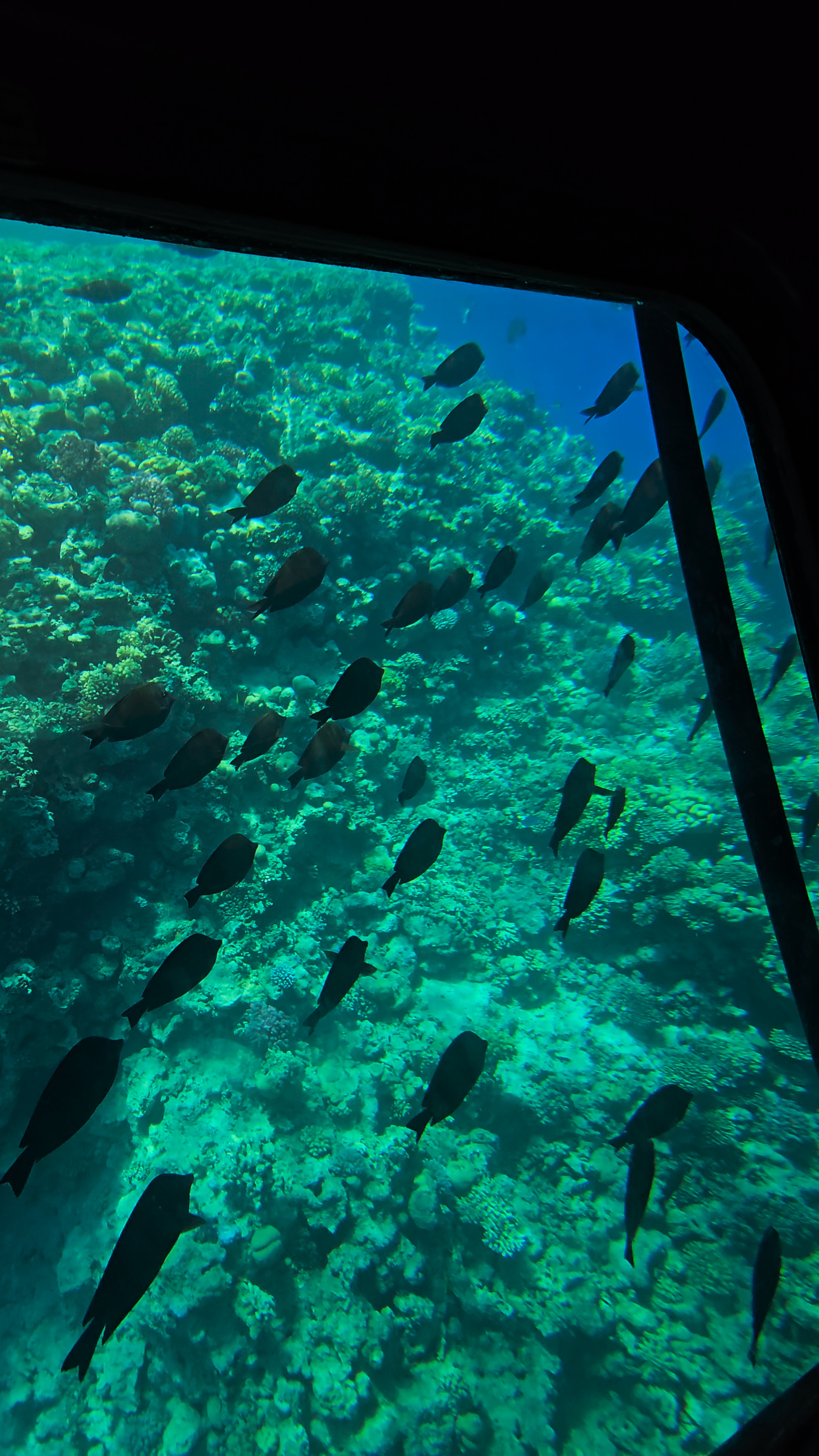 8Submarine Trip in Sharm El Sheikh