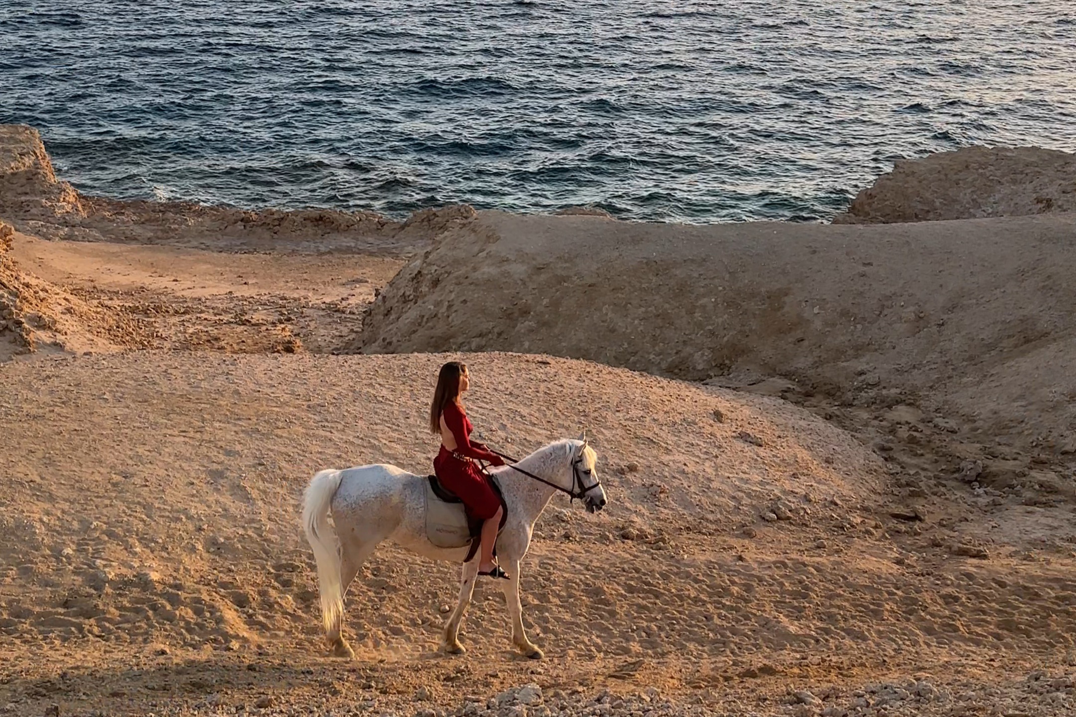4Passeggiata a cavallo VIP a Sharm El Sheikh