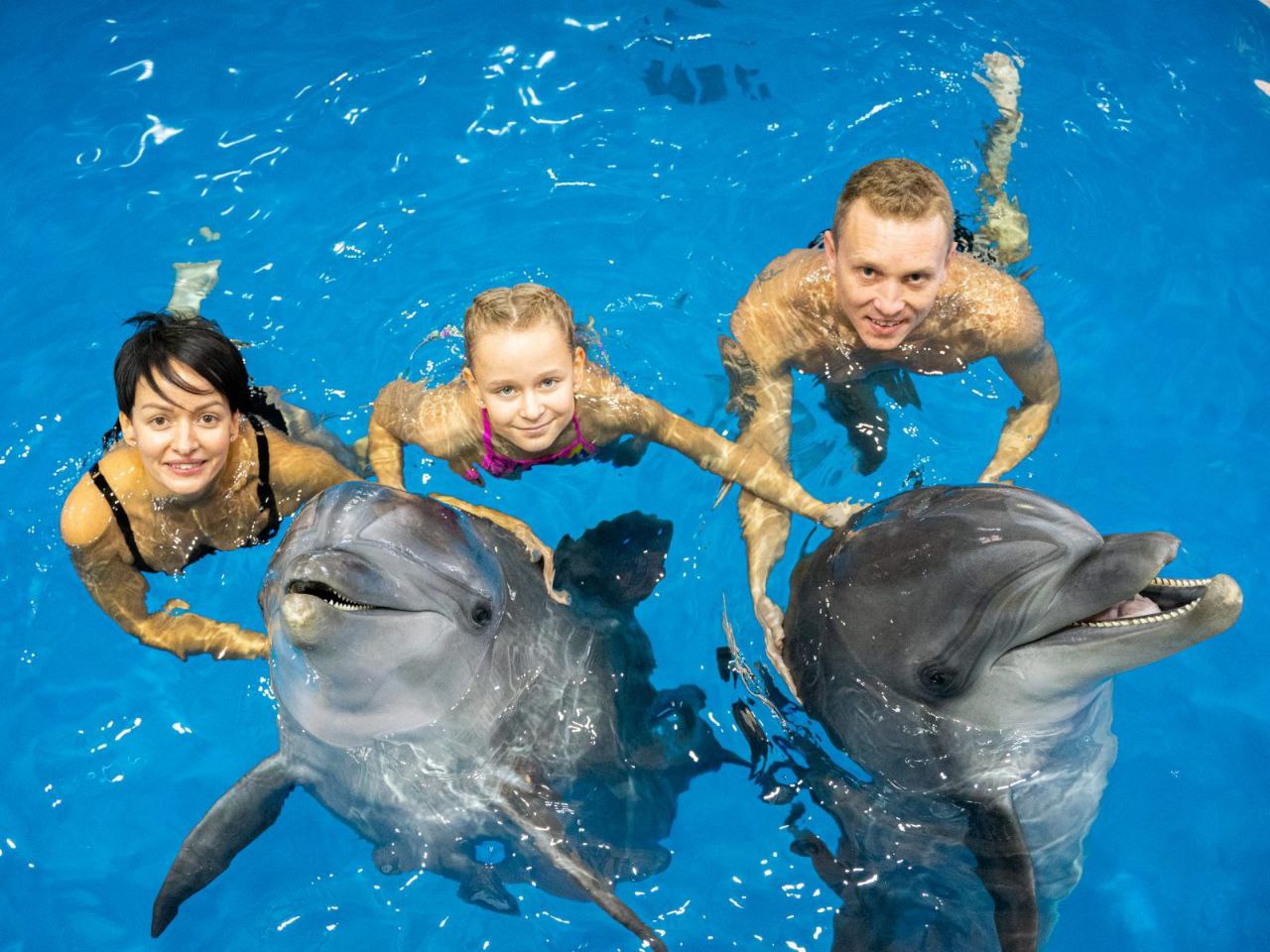 1Nuotare con i delfini a Sharm El Sheikh