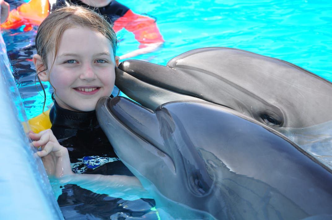 11Nuotare con i delfini a Sharm El Sheikh